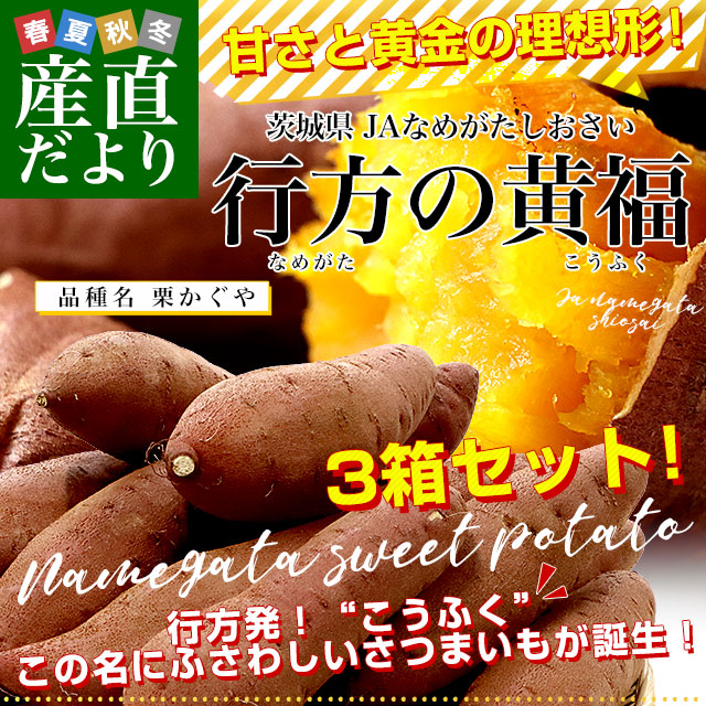 楽天市場】茨城県より産地直送 JAなめがたしおさい さつまいも 行方の