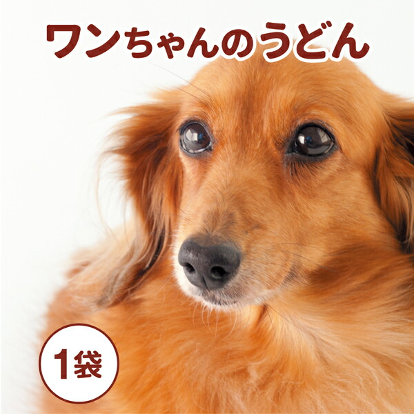楽天市場】犬用うどん【1袋(1～4食)】 お試し ワンちゃんのうどん 細麺