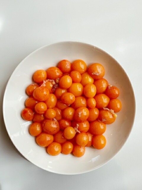 楽天市場】親鶏 キンカン 冷蔵 300g 国産 国産鶏 親鳥 ひね鳥 かしわ