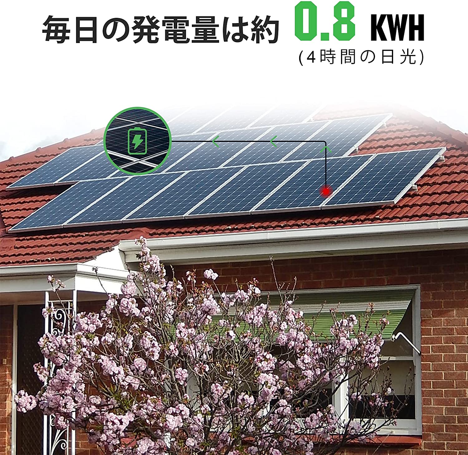 楽天市場】ソーラー発電インバーターキット 200W （100W単結晶ソーラー