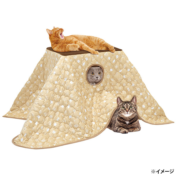 楽天市場】【即日出荷】マルカン NYANTA CLUB 遠赤外線にゃんこの和み