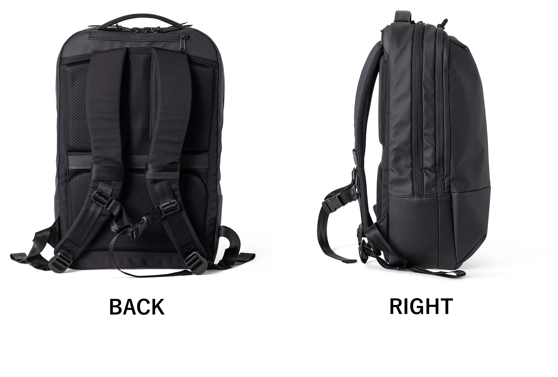 楽天市場】【アンインセイン 3年保証＋プレゼント付】 ANINSANE アン