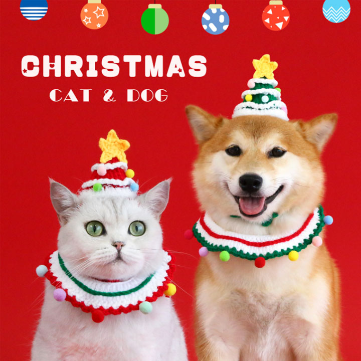 楽天市場】首輪 猫用 犬用 クリスマス 可愛い 帽子 小型犬 可愛い