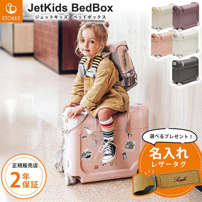 楽天市場】【日本正規販売店】＼2025最新型／【選べるレビュー特典付き