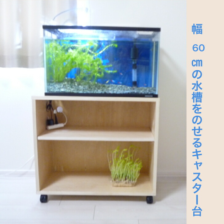 Maaさま専用、オーダー水槽台で御座います。 Saggg様専用水槽 てつさま