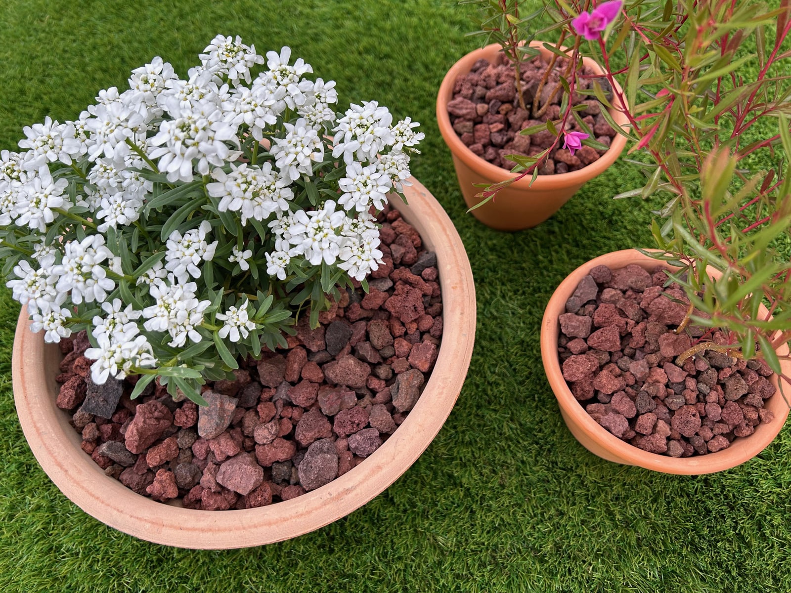 楽天市場】ガーデニング 溶岩 砂利 庭 溶岩石 赤 伊豆赤溶岩 スコリア