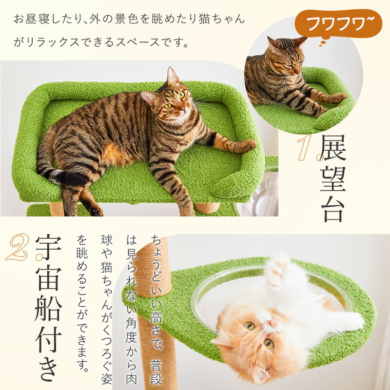 楽天市場】【ワンダブルデー＆P5倍】【レビュー特典あり】】MWPO