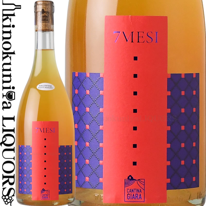 楽天市場】アルマヴィーヴァ [2022] 赤ワイン フルボディ 750ml / チリ