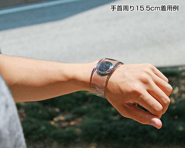 楽天市場】【お取り寄せ】SEIKO セイコー ISSEY MIYAKE イッセイミヤケ