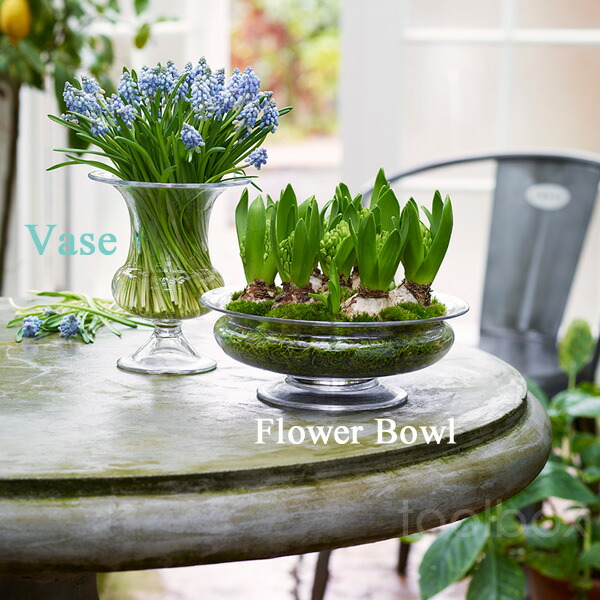 楽天市場】HOLMEGAARD（ホルムガード）Old English「Flower Bowl」直径