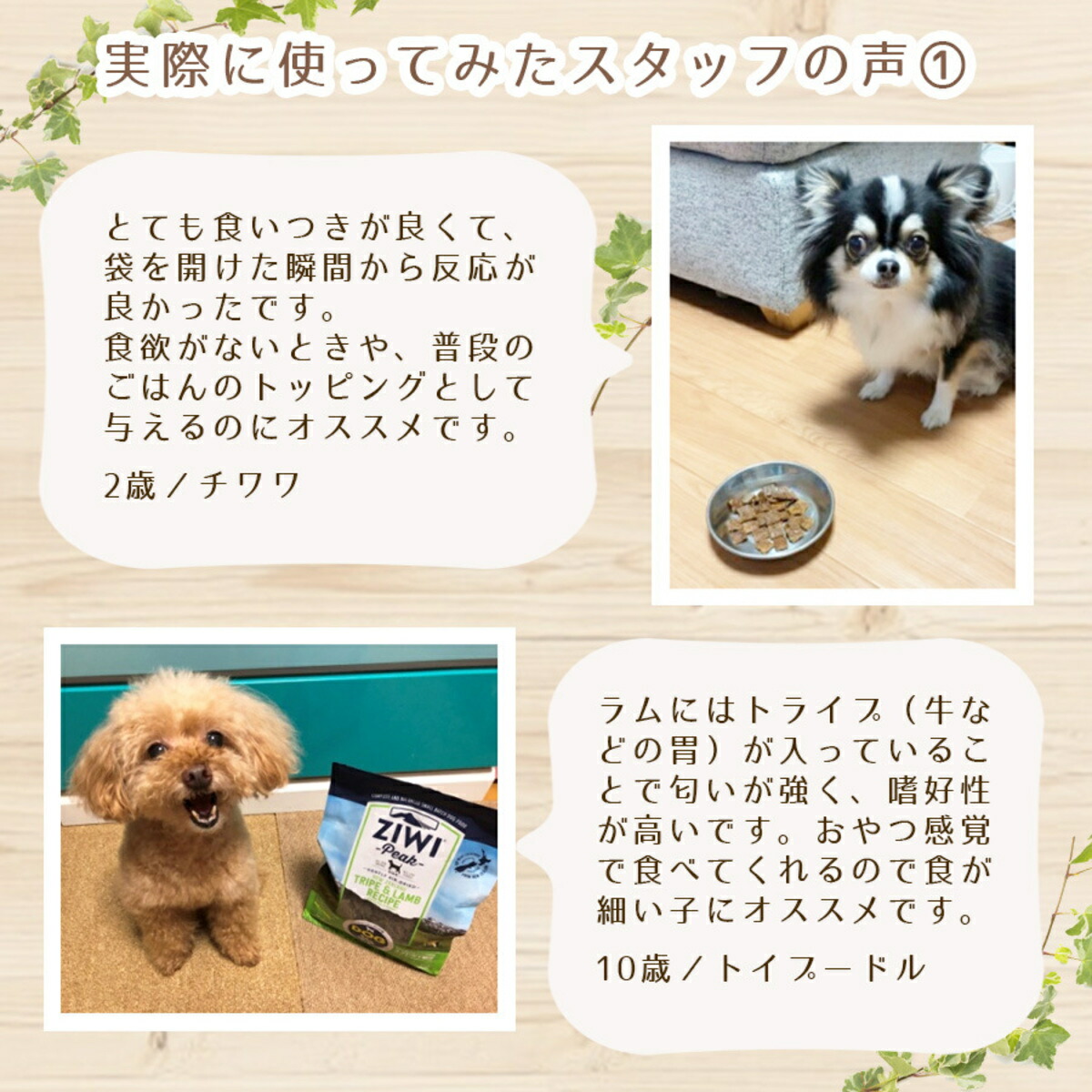 楽天市場】ジウィピーク ZIWI Peak マッカロー＆ラム レシピ 犬用