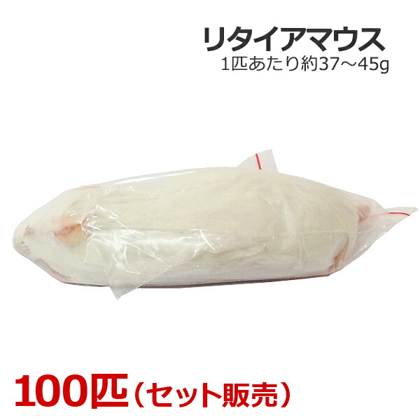 楽天市場】冷凍 リタイアマウス 100匹 : 爬虫類用品店 トップクリエイト