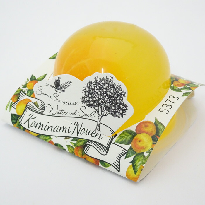 楽天市場】小南農園 まるごと田村みかんゼリー（94g×3個入）包装可