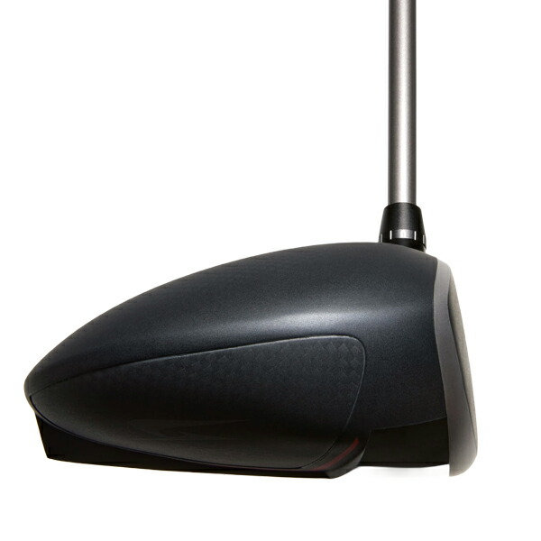 楽天市場】【2/28まで☆60周年記念クーポン発行中☆】ゴールデンプ