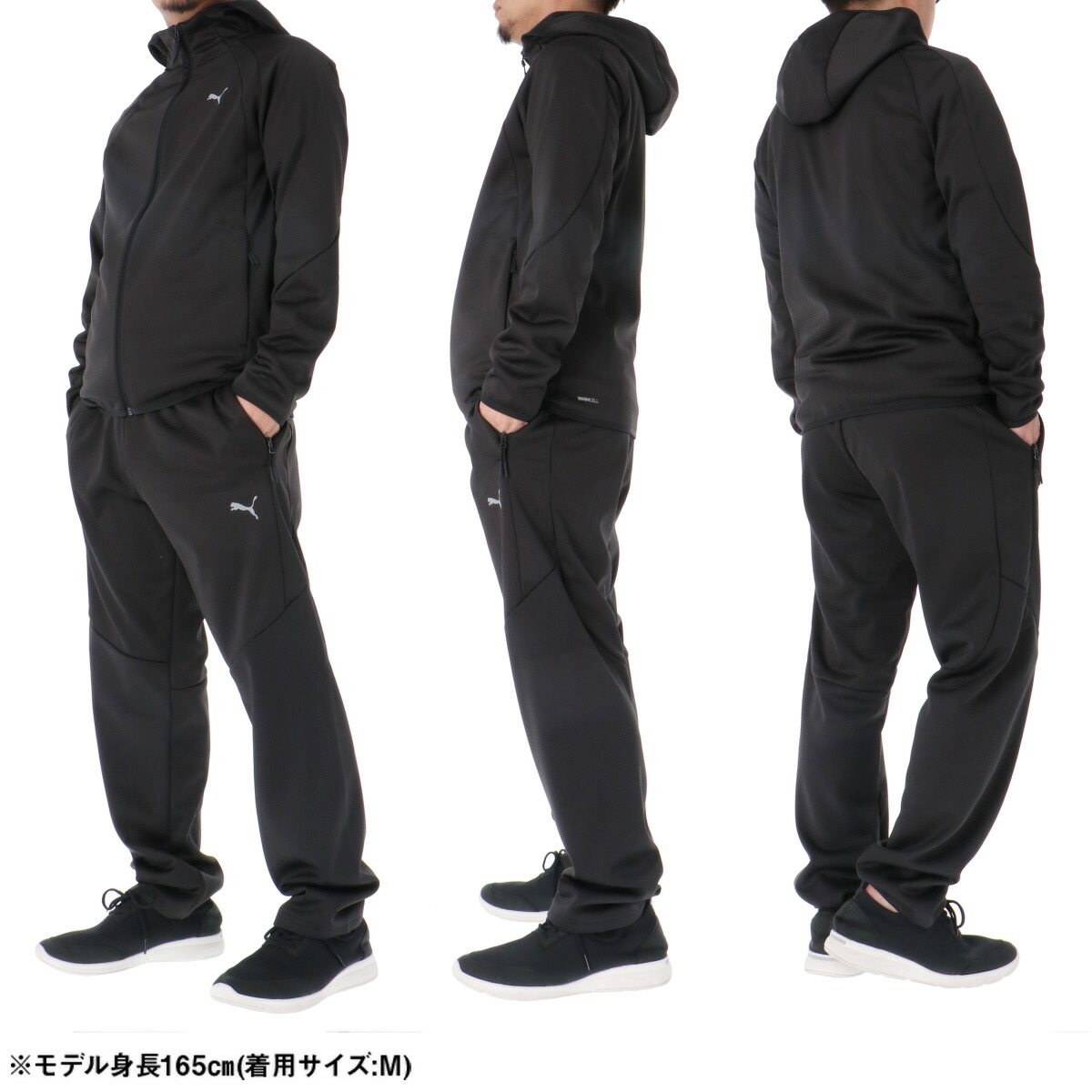 楽天市場】プーマ スウェット 上下 メンズ セットアップ エヴォ