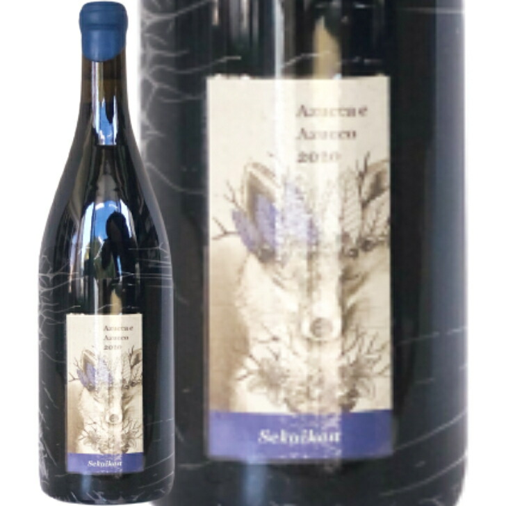 compass1698027919.jpg?fitin=