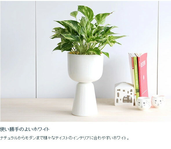 楽天市場】イッタラ ナップラ プラントポット 230x155mm iittala