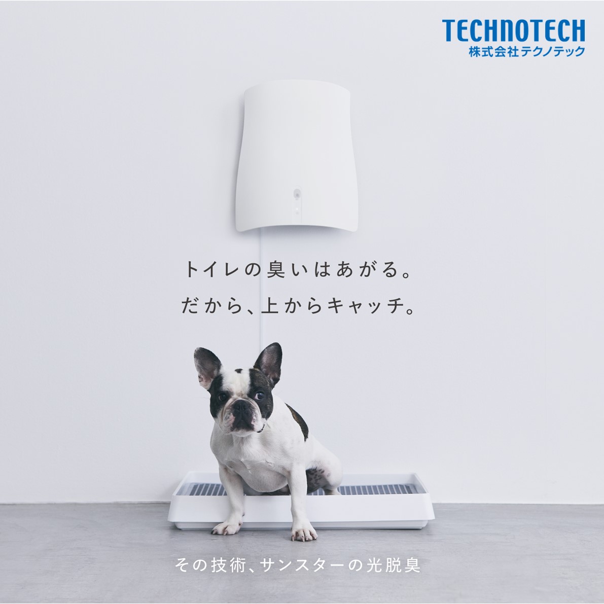 楽天市場】ペット想いの 除菌脱臭機 サンスター QAIS-air- 04A1J