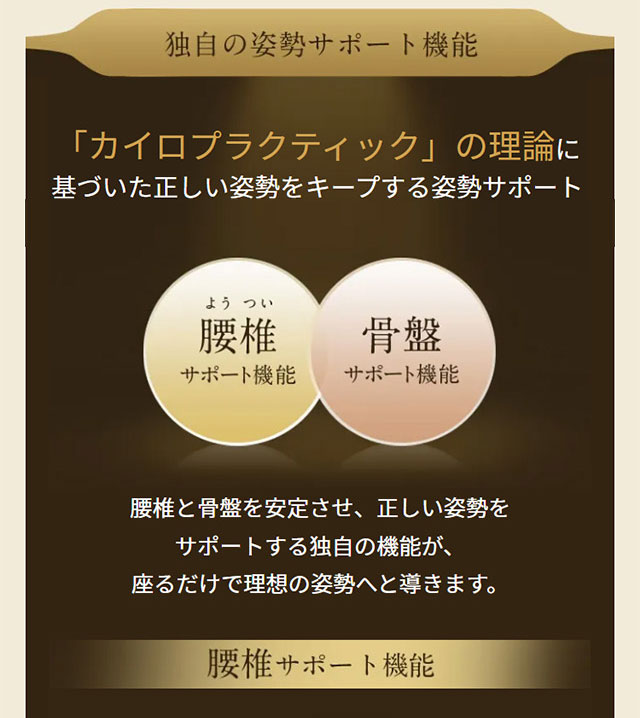 楽天市場】【メーカー正規販売店】 スタイルプレミアム デラックス