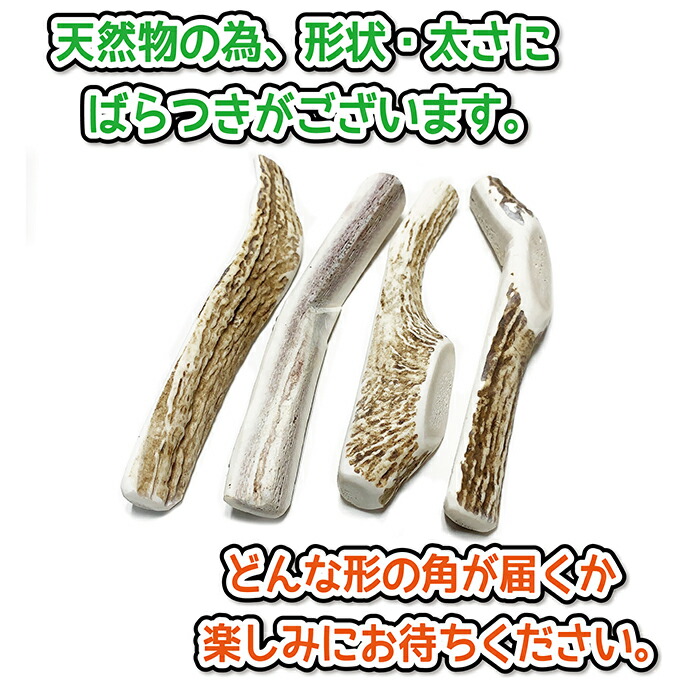 楽天市場】【中型犬用 蝦夷鹿の角】犬のおもちゃ『鹿角さん』 髄出し