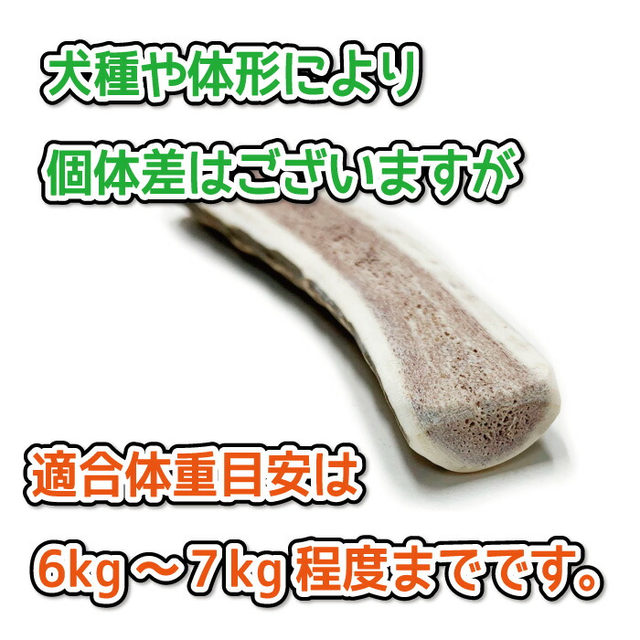 楽天市場】【小型犬用 蝦夷鹿の角】『鹿角さん』 髄出し 半割り 1本