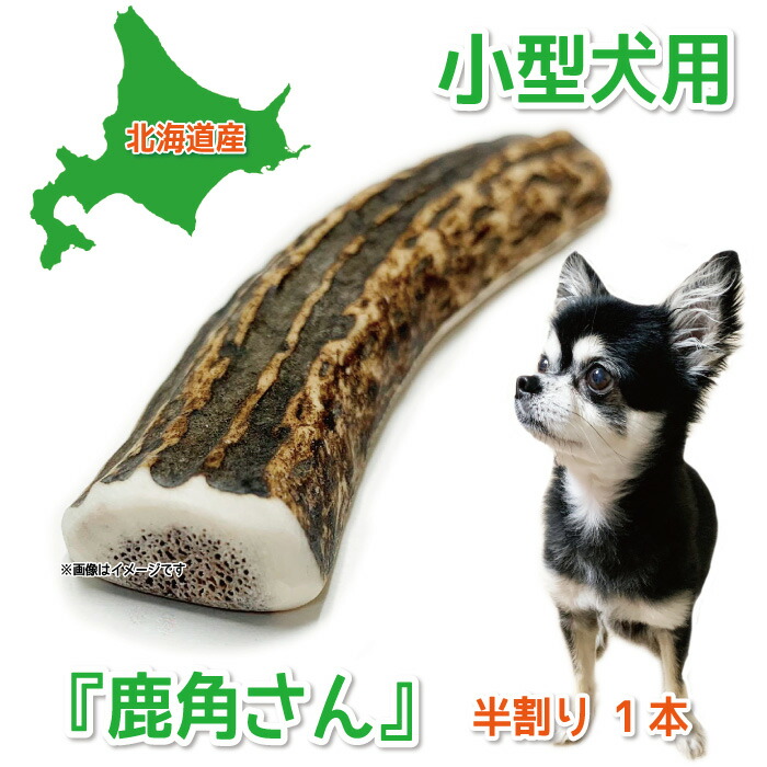 楽天市場】【小型犬用 蝦夷鹿の角】『鹿角さん』 髄出し 半割り 1本