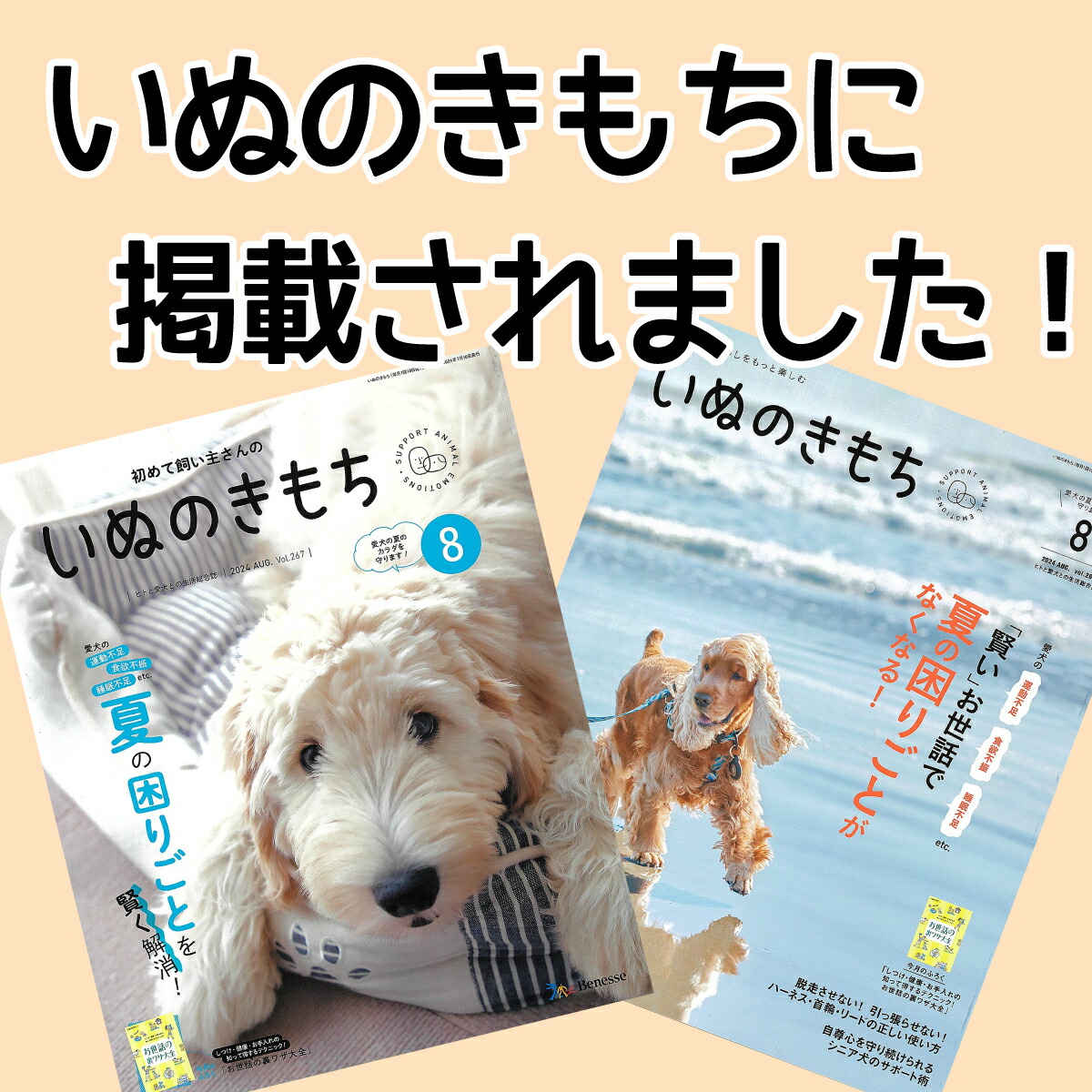 楽天市場】【大型犬用 蝦夷鹿の角】『鹿角さん』 けんか角 1本 サイズ