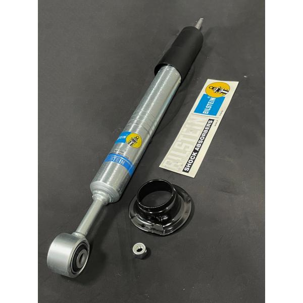 215surf-bilstein_02.jpg