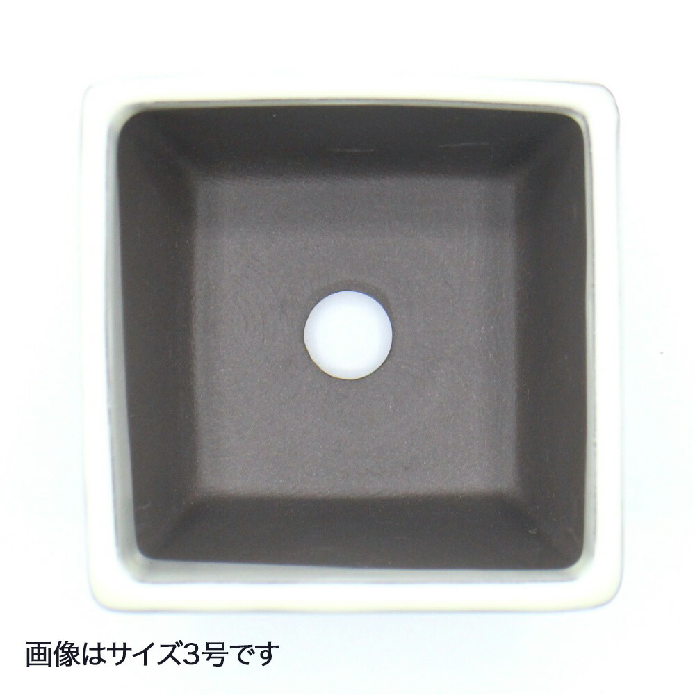 楽天市場】盆栽鉢 陶器 3〜4号 正角 おしゃれ 専門店 ミニ 小さい 緑