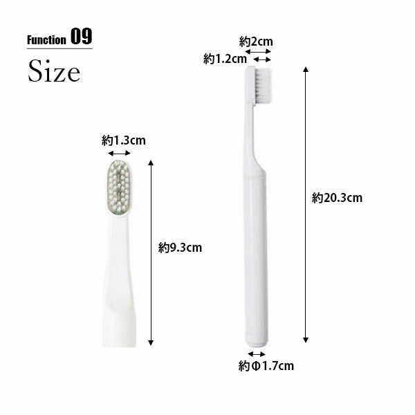 楽天市場】TROMATZ WAVE トロマッツウェーブ 電子歯ブラシ PLAQLES