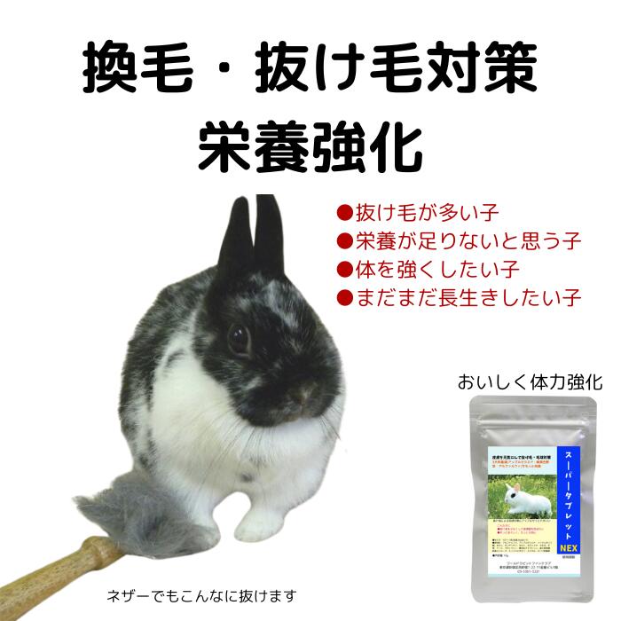 楽天市場】うさぎファンクラブ アップルセラミド配合 うさぎの皮膚