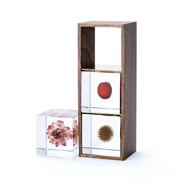 楽天市場】ソラキューブ 専用 木箱 3個用 ウサギノネドコ おしゃれ