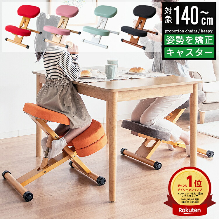 rybo リボ社 バランスイージー カバー付き 姿勢矯正チェア 旧モデル