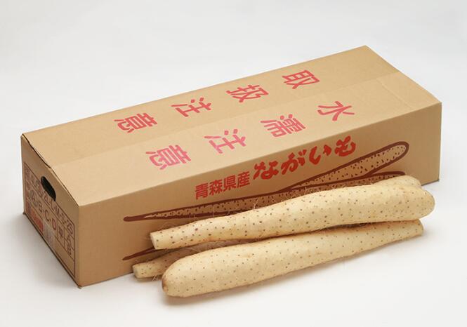 ロンパパ 種芋 10kg箱込み ロンパパ 種芋 10kg箱込み 2026年2月 種の