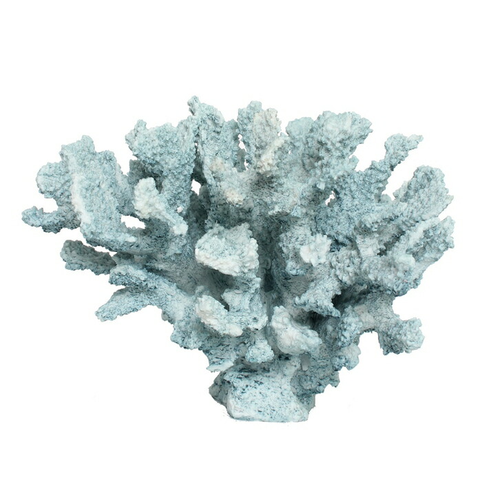 楽天市場】珊瑚 サンゴ Coral ミントブルー Mintblue インテリア