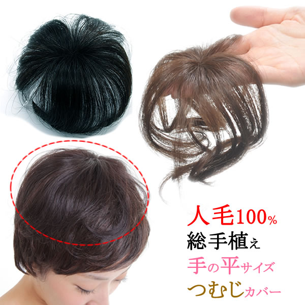 楽天市場】ウィッグ 人毛 ヘアピース トップ 人毛100％ 部分ウィッグ