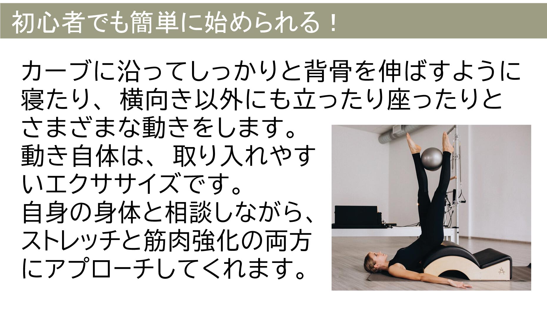 楽天市場】スパインコレクター送料無料 ピラティス ヨガ ストレッチ