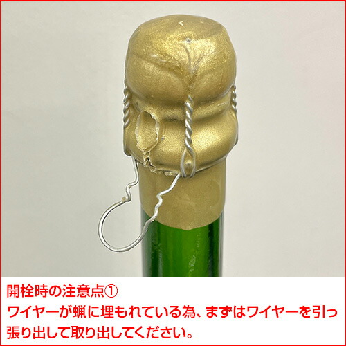 楽天市場】【800円OFFクーポン3/1～2 9:59まで】送料無料 サン ガール