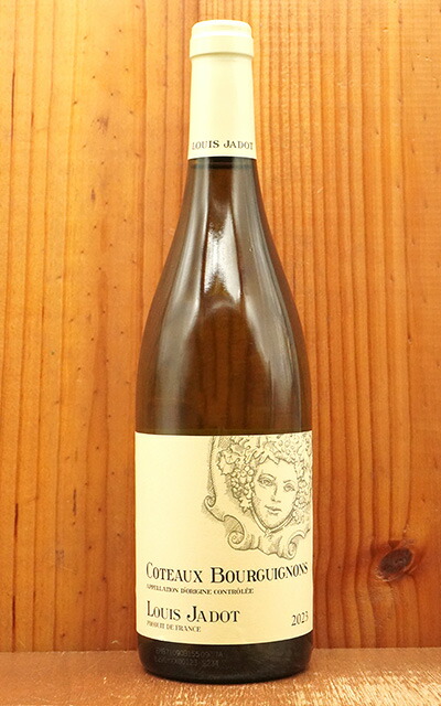 楽天市場】コトー ブルギニョン ブラン 2023 ルイ ジャド AOCコトー