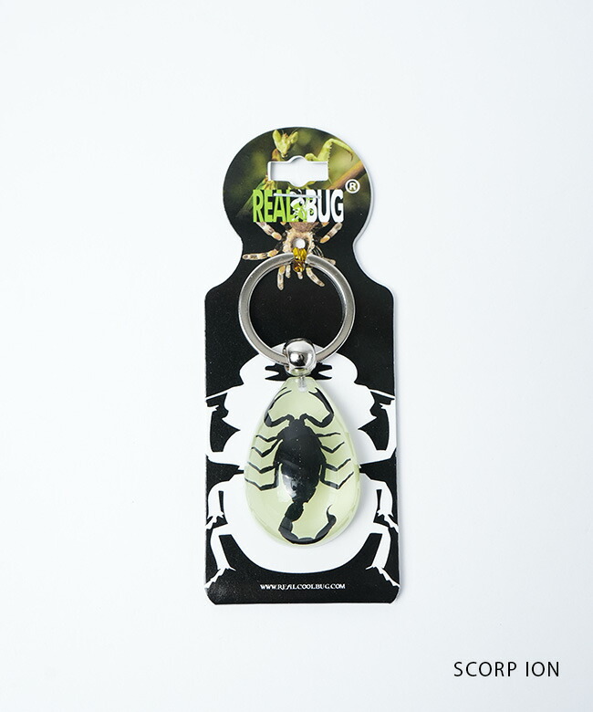 楽天市場】[YK603/04/06/08/10]REAL BUG(リアルバグ) GOLDEN SCORPION