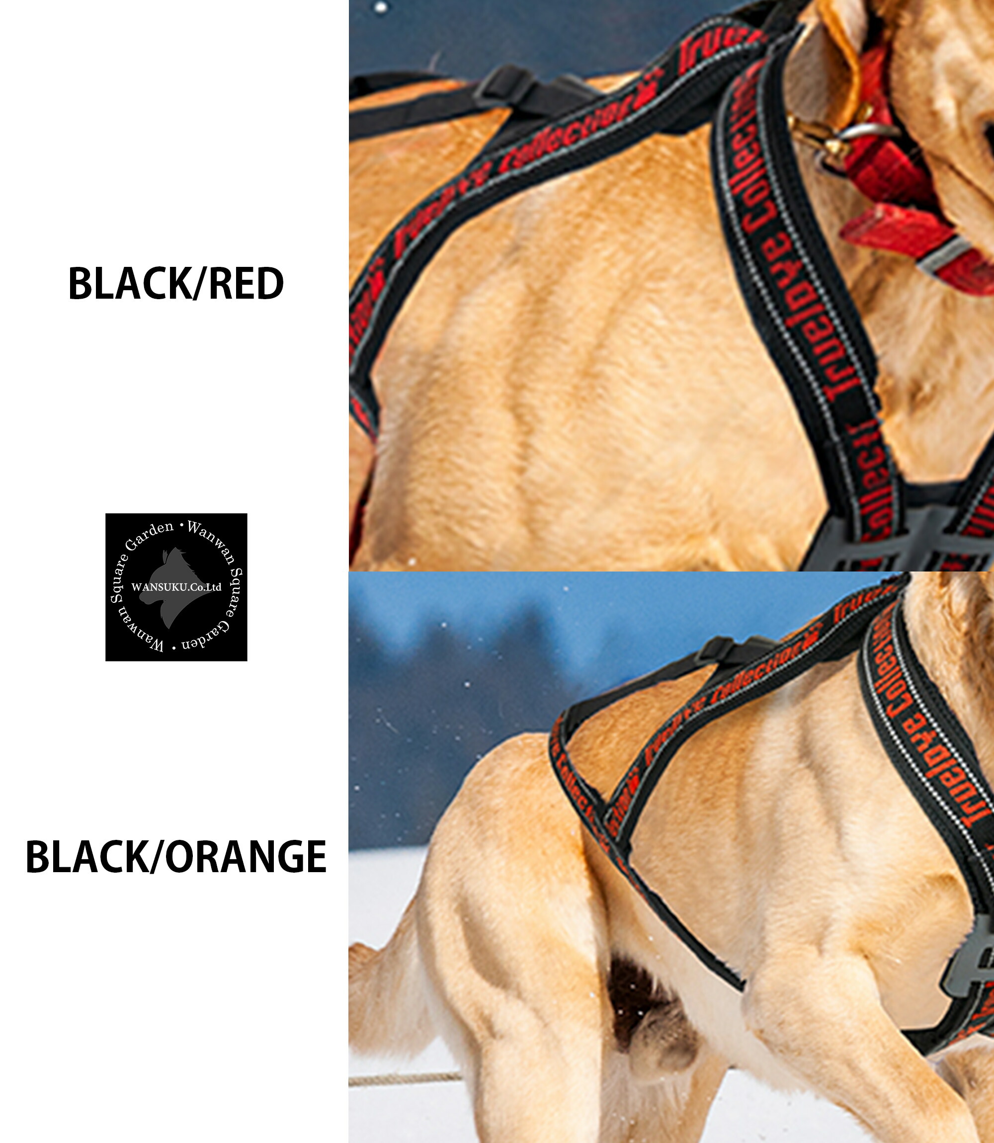 楽天市場】犬ぞり用ハーネス 負担が少ない バイクジョアリング Xバック