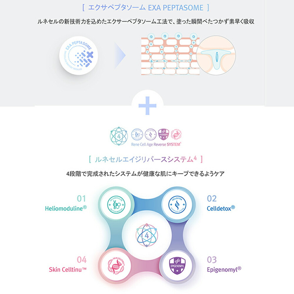 楽天市場】【Rene-Cell】ミラクルダイヤモンドピール プログラムセット