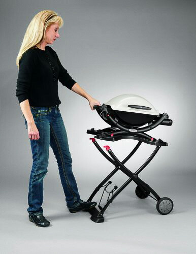 楽天市場】Q2200 カート セット 1501441 / バーベキュー コンロ Q2200