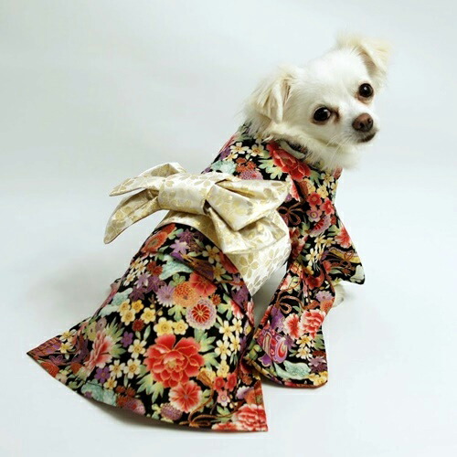 楽天市場】振袖着物(一重) 超小型犬 XXS&XS&SS : CELEBDOG