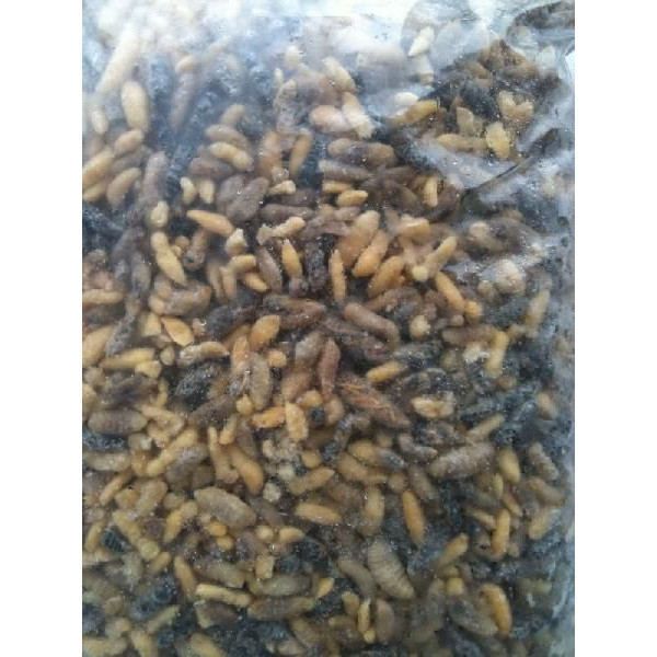 楽天市場】【高級珍味】冷凍蜂の子（中国産）1kg(kg11960円税別