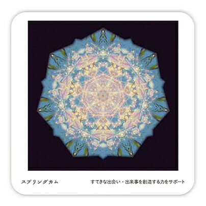 楽天市場】【当店取扱い終了】クスリ絵 CARD-3（ビオ・マガジン