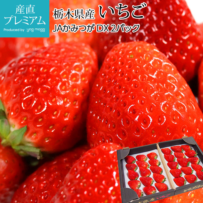 楽天市場】【エントリーでP10倍】 いちご とちおとめ とちあいか DX 2