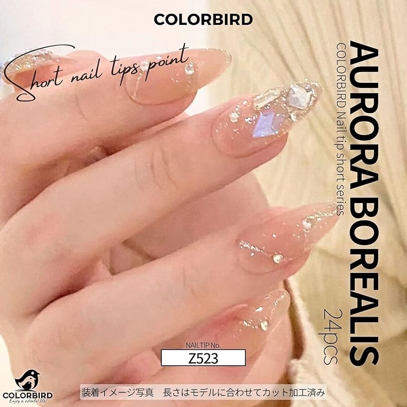 楽天市場】ネイルチップ ショート 24枚 付け爪 短め 可愛い ポイント