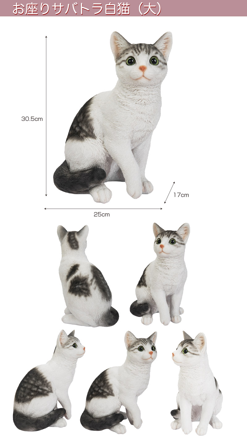 楽天市場】お座りサバトラ白猫（大） 25 x 17 x 30.5cm (幅x奥x高)本物