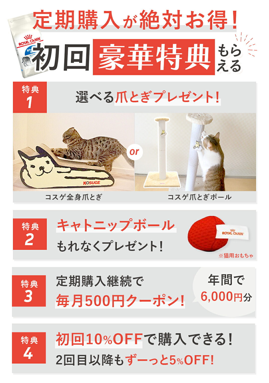 楽天市場】【3/1(日)限定！抽選で最大100%P還元※要ｴﾝﾄﾘｰ｜LINE追加で